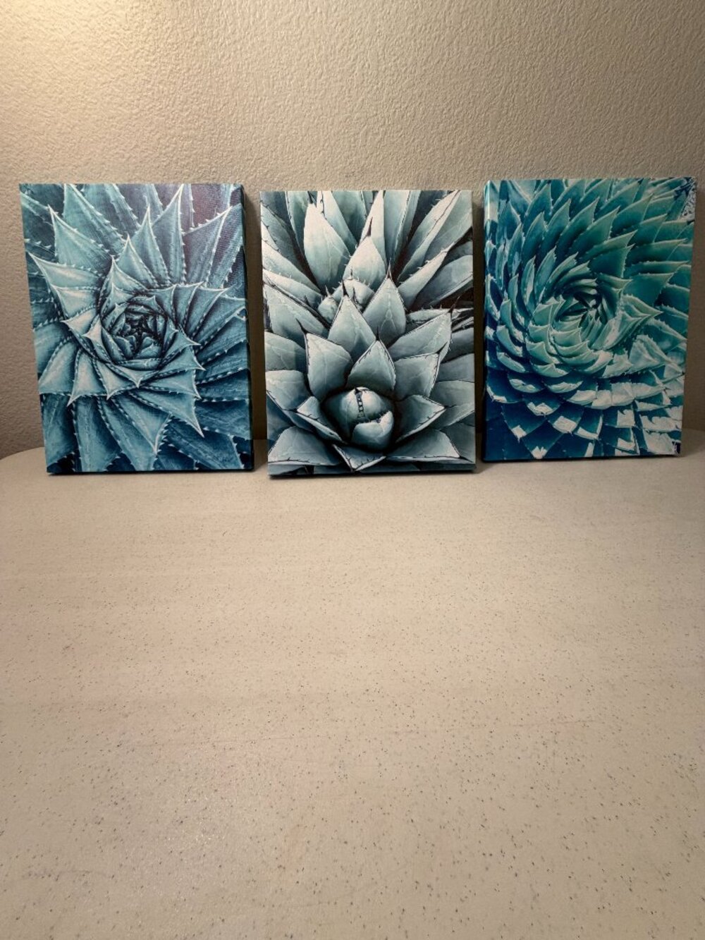 3-Piece Agave Botanical Succulent Wrapped Canvas Wall Art Set